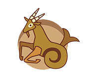 Capricorn Zodiac Sign