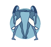 Gemini Zodiac Sign