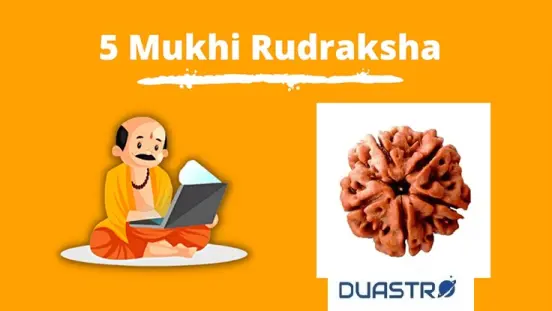 The Power of Rudraksha: Benefits, Types, and Wearing Rituals