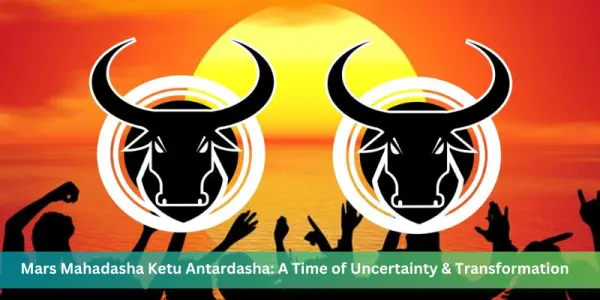 Taurus and Taurus Compatibility: A Love Match Made in Heaven or a Stubborn Battle?
