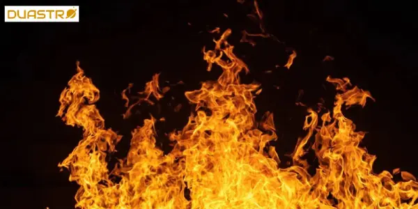 Ambition and the Fire Signs Aries, Leo, Sagittarius