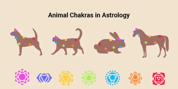 Animal Chakras in Astrology - Energetic Creatures