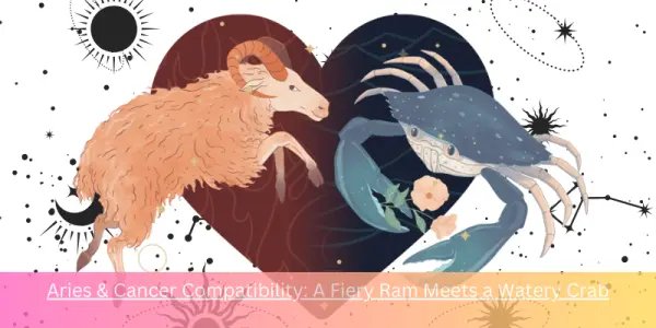 Aries & Cancer Compatibility: A Fiery Ram Meets a Watery Crab