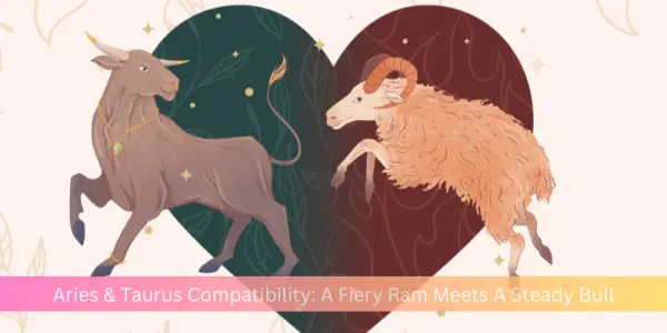 Aries & Taurus Compatibility: A Fiery Ram Meets A Steady Bull