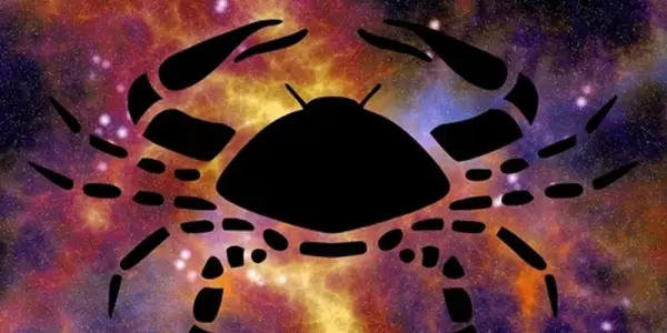 Astrology and Animal Healing Essences Animal Energies for Well-being