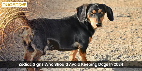Zodiac Signs Who Should Avoid Keeping Dogs In 2024