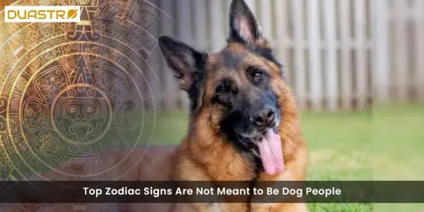 Top Zodiac Signs Are Not Meant to Be Dog People