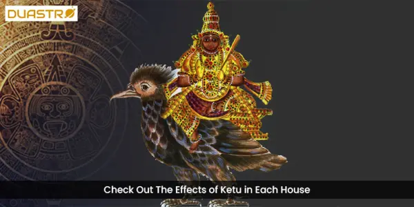 Check Out The Effects of Ketu in Each House