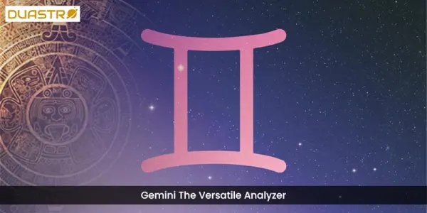 Gemini The Versatile Analyzer