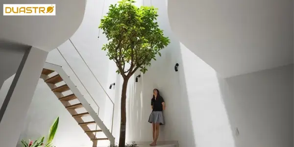 Healthy Indoor Environment - Cleaning and Air Quality