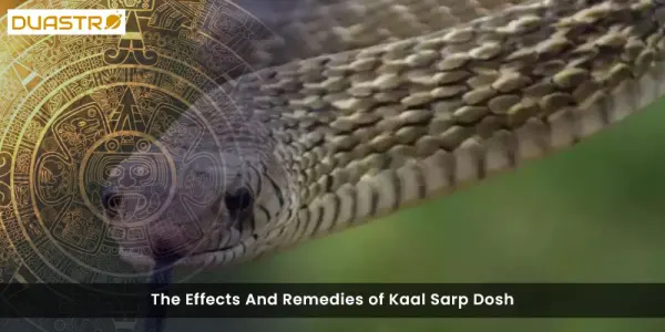 The Effects And Remedies of Kaal Sarp Dosh