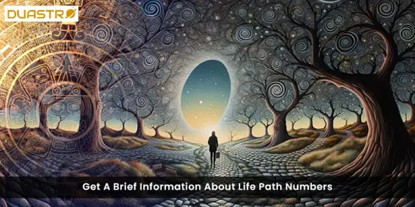 Get A Brief Information About Life Path Numbers