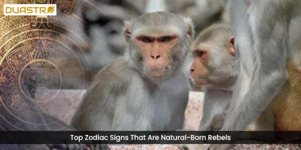 TopZodiac Signs Who Are Natural-Born Rebels