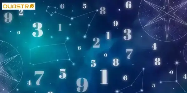 Numerology for Career - Aligning with Your Numbers