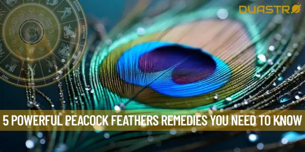 5 Powerful Peacock Feathers Remedies You Need to Know