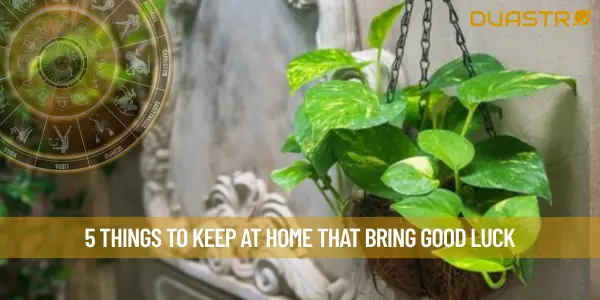 5 Things To Keep At Home That Bring Good Luck