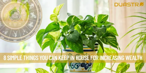 8 Simple Things You Can Keep In House For Increasing Wealth