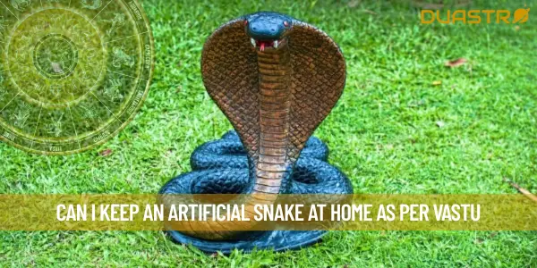 Can I keep An Artificial Snake At Home As Per Vastu