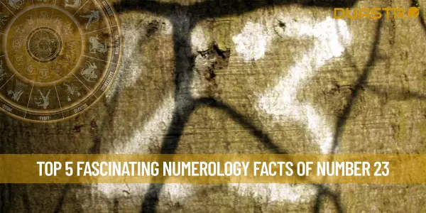 Top 5 Fascinating Numerology Facts of Number 23