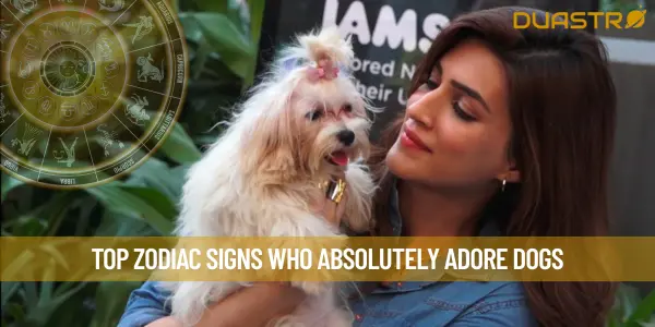 Top Zodiac Signs Who Absolutely Adore Dogs