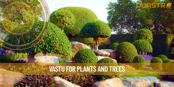 Vastu for plants and trees