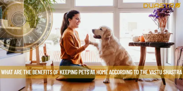 What Are The Benefits Of Keeping Pets At Home According To The Vastu Shastra