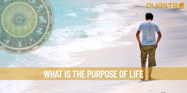 What Is The Purpose Of Life