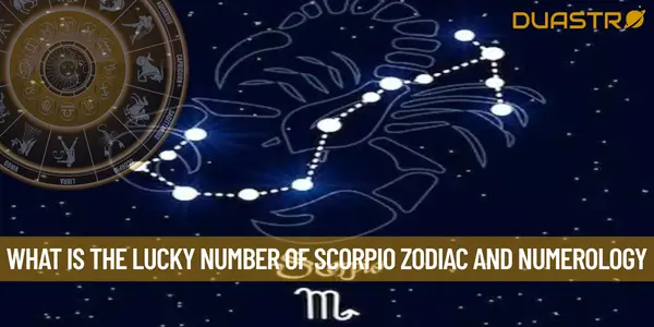 What is the Lucky Number of Scorpio Zodiac and Numerology