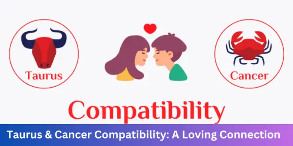 Taurus & Cancer Compatibility: A Loving Connection
