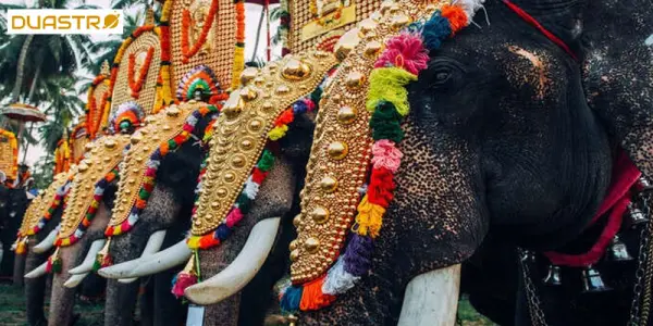 Thrissur Pooram: Grand Festival