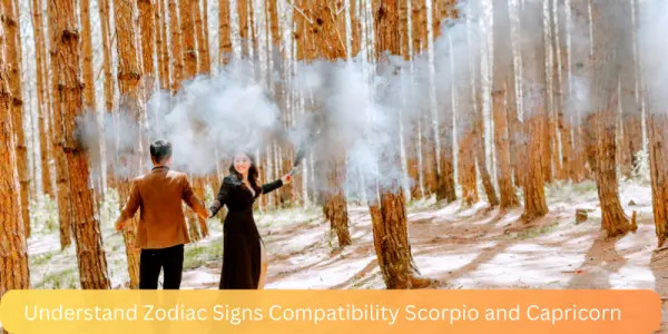 Understand Zodiac Signs Compatibility Scorpio and Capricorn