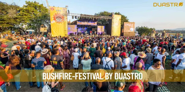 Bushfire Festival: A Celebration of Music, Art, and Culture