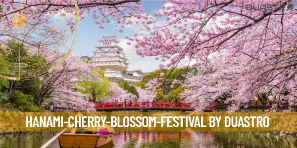 Cherry Blossom Delight: A Guide to Hanami Festival