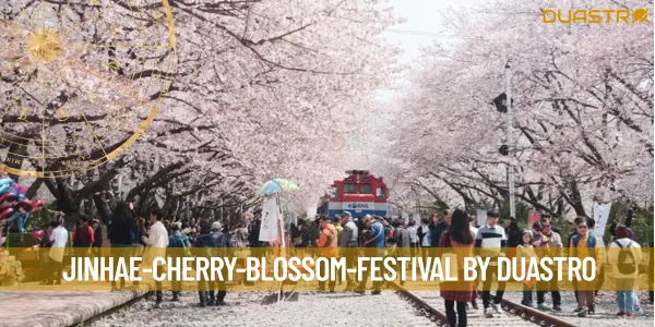 Jinhae Cherry Blossom Festival: A Spectacular Spring Celebration