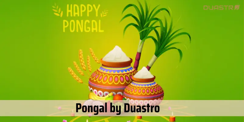 Celebrate the Harvest Festival: Pongal - A Time for Joy and Gratitude