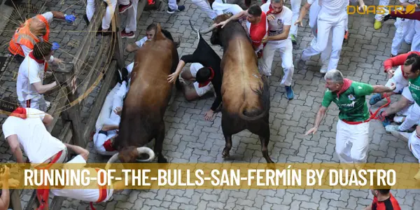 Exciting Event: Running of the Bulls in San Fermín