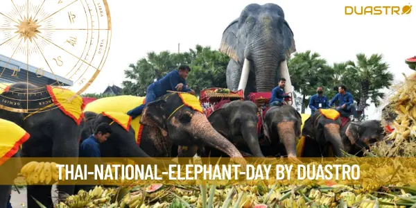 Celebrate Thai National Elephant Day with Us!