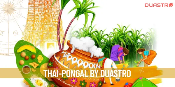 Celebrating Thai Pongal: A Festive Tradition in Tamil Culture