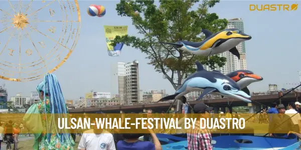 Whale of a Time: Dive into the Ulsan Whale Festival!