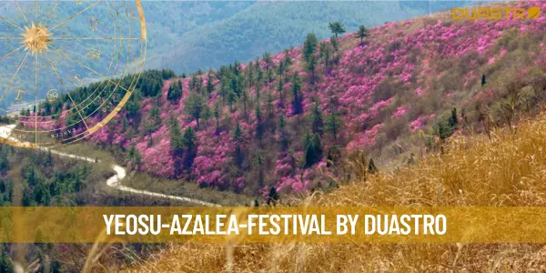 Yeosu&#39;s Blooming Beauty: The Azalea Festival