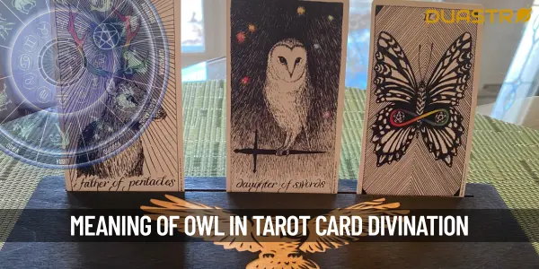 What Does An Owl Represent In Tarot Card Divination