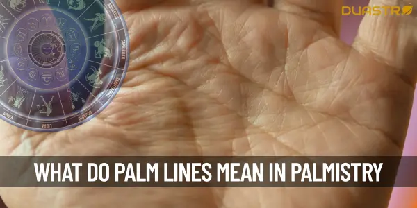 What Do Palm Lines Mean