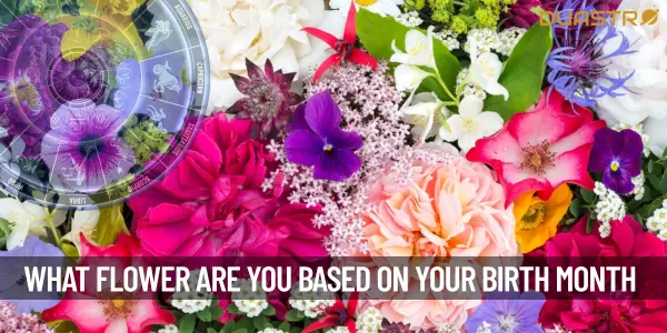 What Flower Are You Based On Your Birth Month