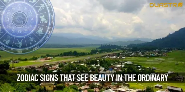 Top Zodiac Signs Who Find Beauty in the Ordinary