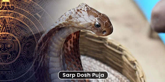 Dosh