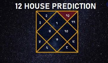 12 Houses Analysis
