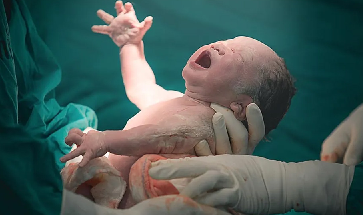 Childbirth Next 2 Years