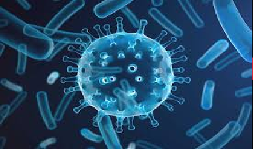 Disease Next 2 Years