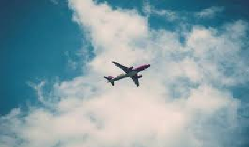 Foreign Travel Next 2 Years