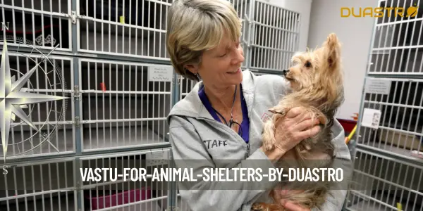 Vastu for Animal Shelters